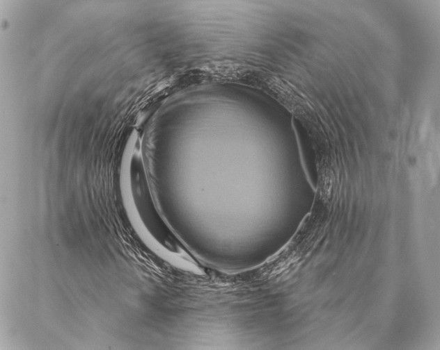 X0000087351010200705111614
