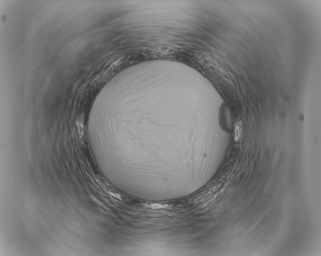 X0000087351011200705111614