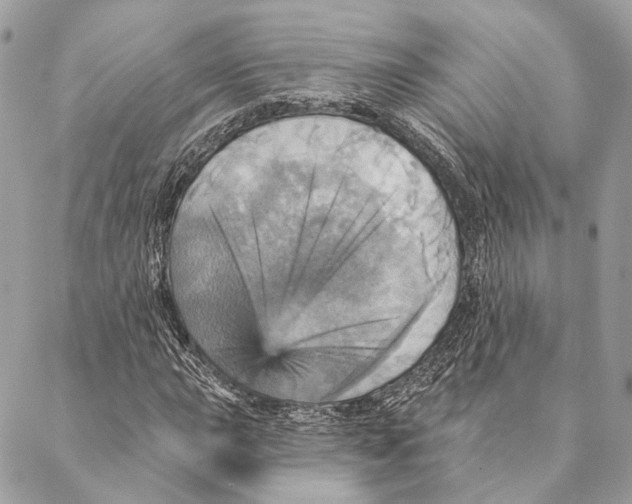 X0000087351015200705111614