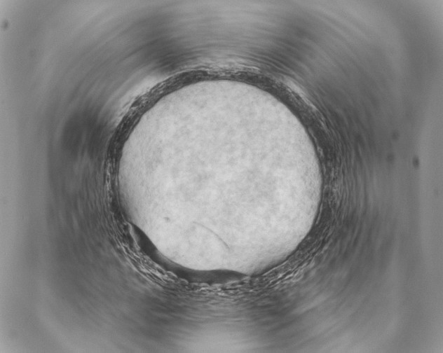X0000087351016200705111614