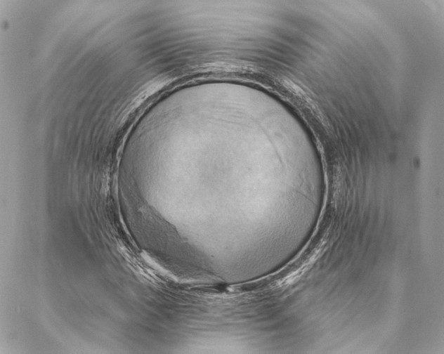 X0000087351017200705111614