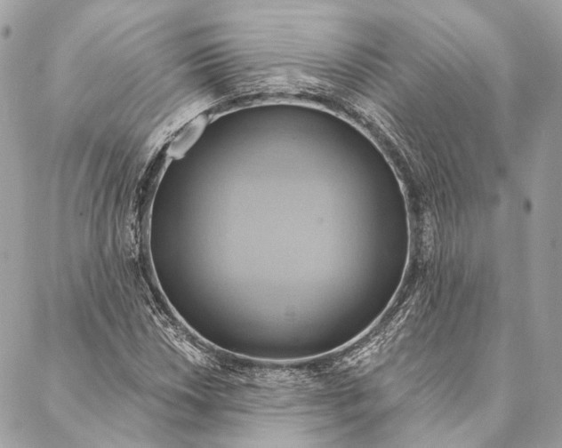 X0000087351018200705111614