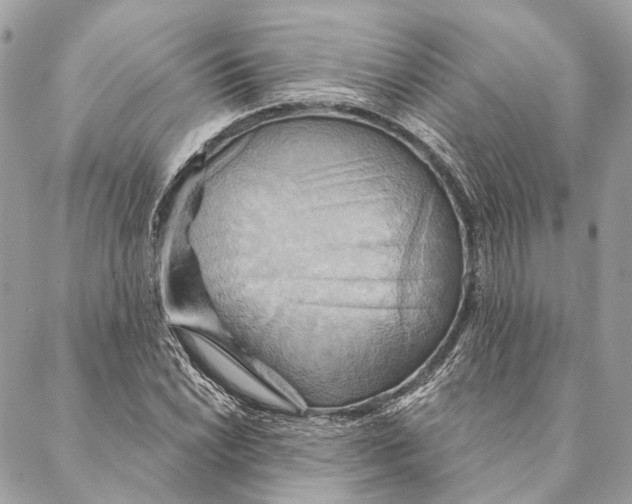 X0000087351022200705111614