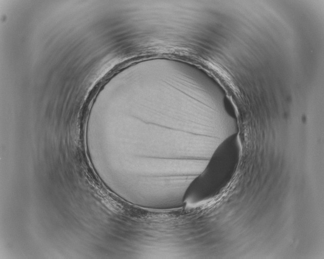 X0000087351023200705111614