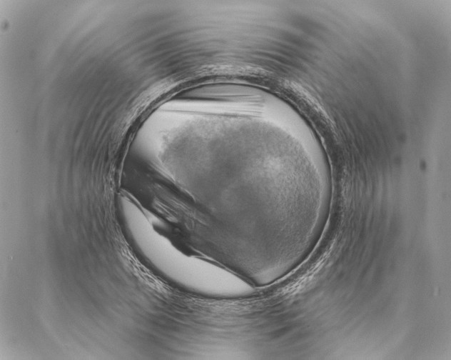 X0000087351025200705111614