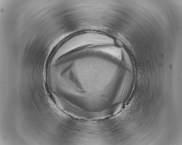 X0000087351028200705111614