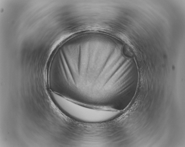 X0000087351032200705111615