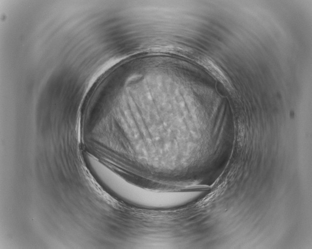 X0000087351036200705111615
