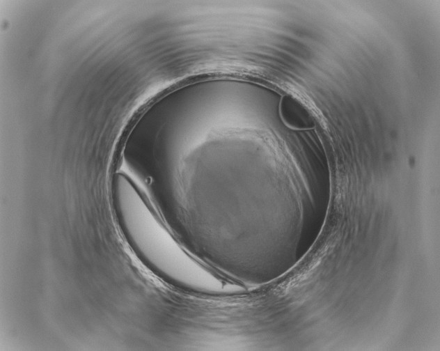 X0000087351037200705111615