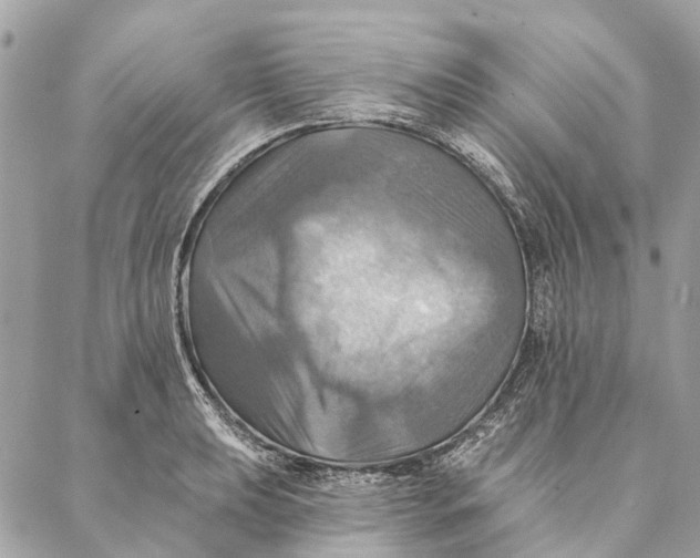 X0000087351039200705111615