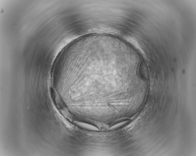 X0000087351040200705111615