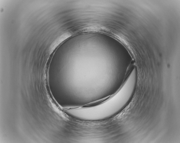 X0000087351042200705111615