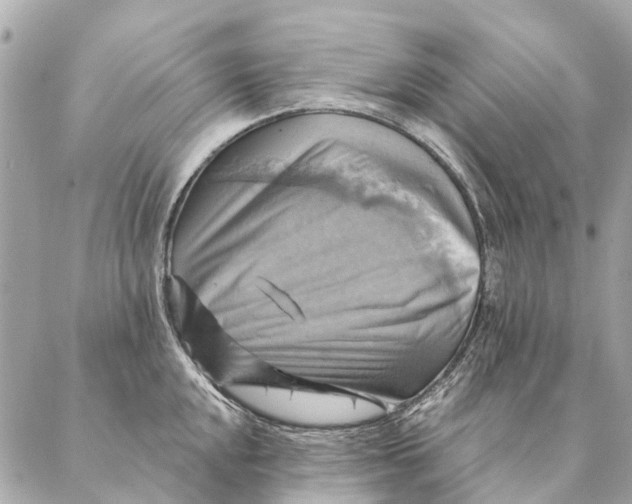 X0000087351048200705111615