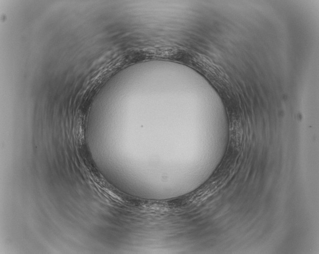 X0000087351058200705111614