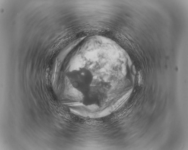 X0000087351059200705111614