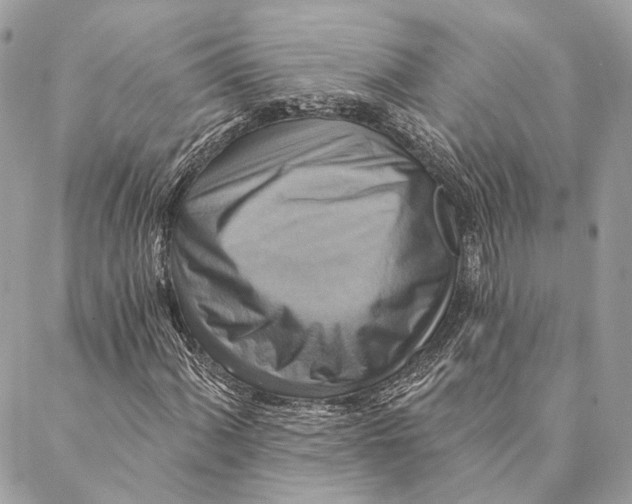 X0000087351060200705111614