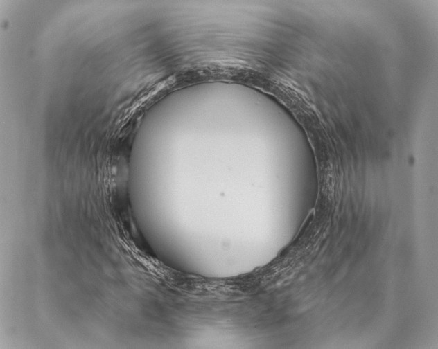 X0000087351061200705111614