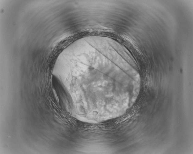 X0000087351063200705111614