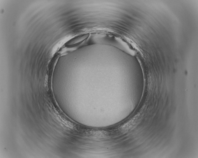 X0000087351066200705111614