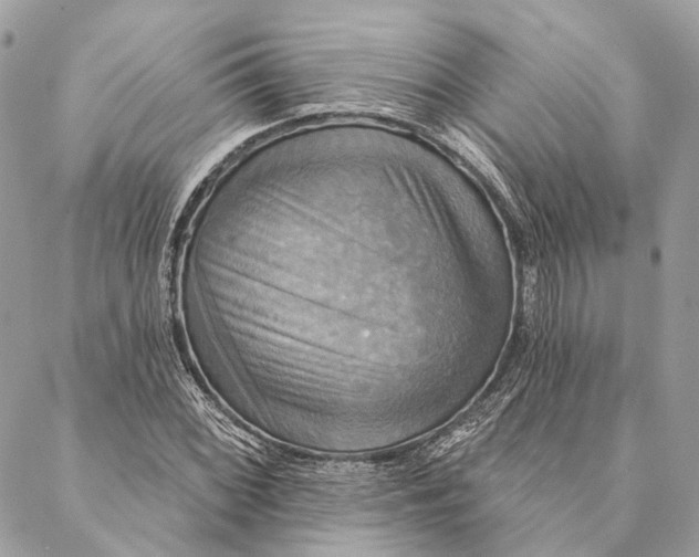 X0000087351068200705111614