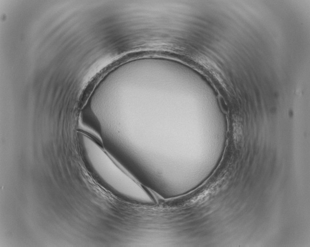 X0000087351069200705111614