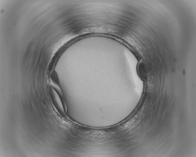 X0000087351070200705111614