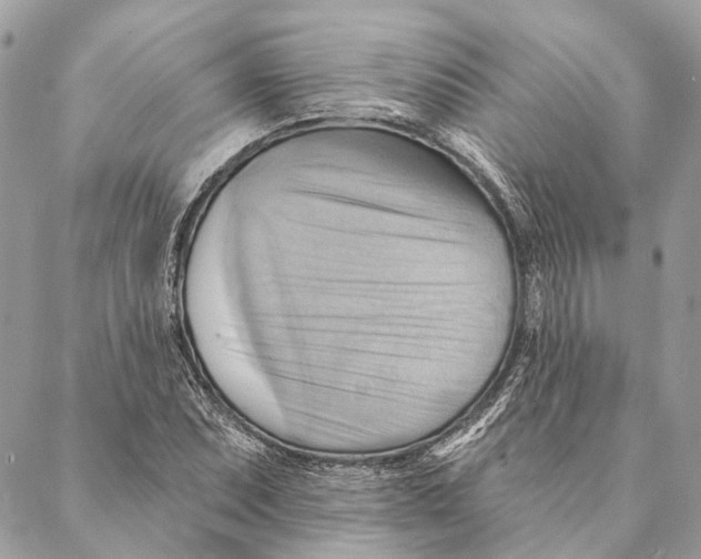 X0000087351071200705111614