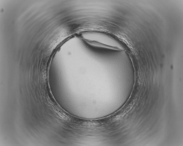 X0000087351073200705111614