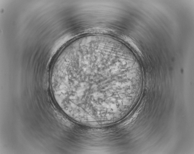 X0000087351075200705111614