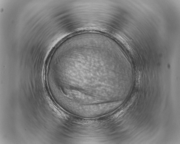 X0000087351076200705111614