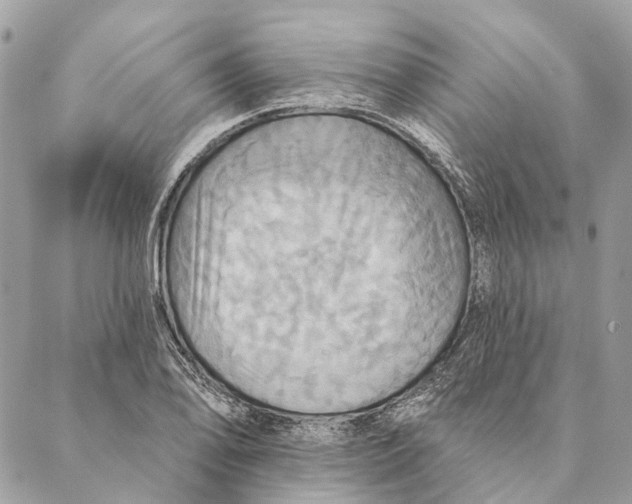 X0000087351078200705111614
