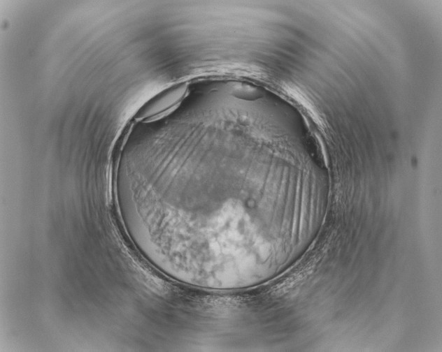 X0000087351079200705111614