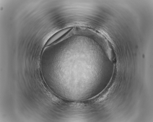 X0000087351081200705111614