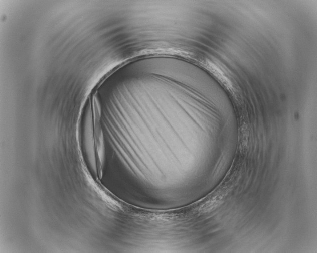 X0000087351084200705111614