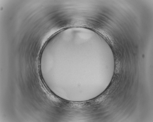 X0000087351086200705111614
