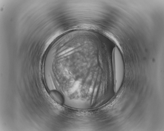 X0000087351091200705111614