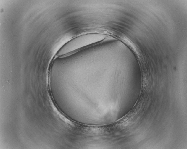 X0000087351095200705111614