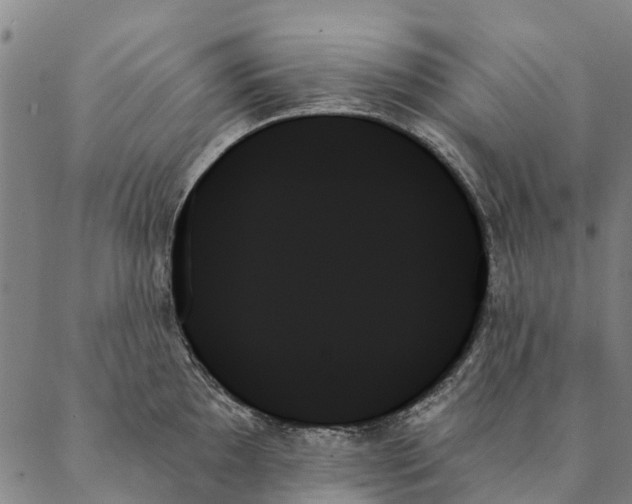 X0000087351097200705111614