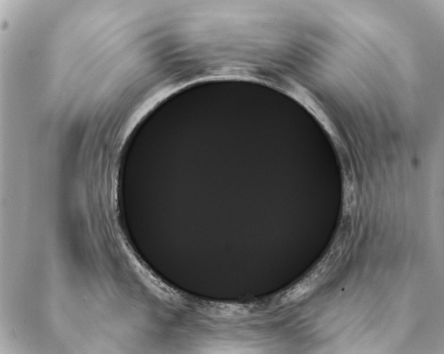 X0000087351101200705111613