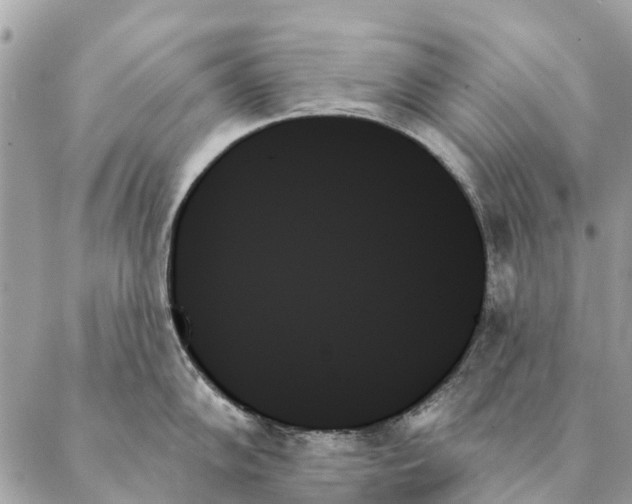 X0000087351102200705111613