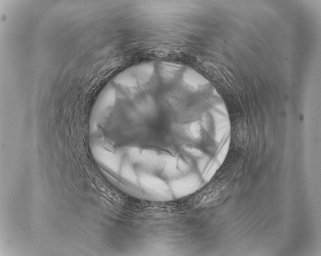X0000087351105200705111613