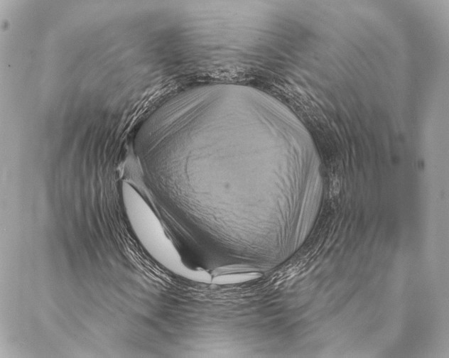 X0000087351106200705111613