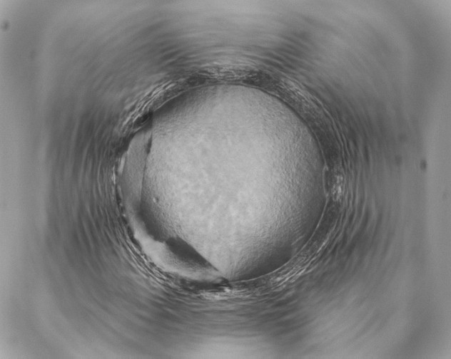 X0000087351108200705111613