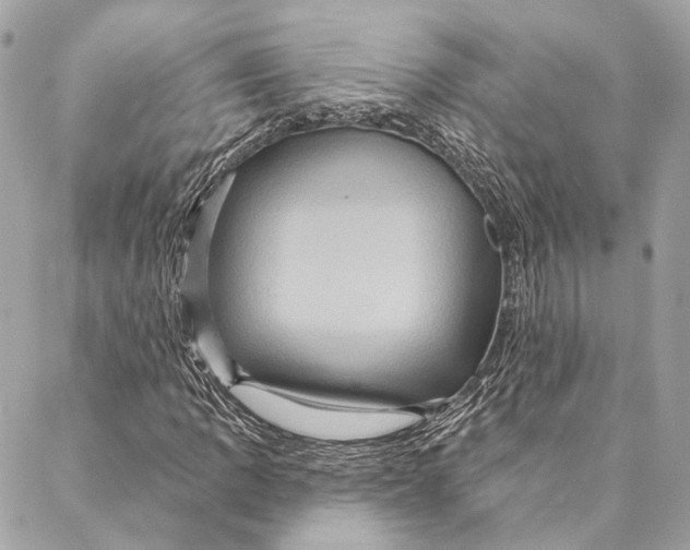 X0000087351109200705111613