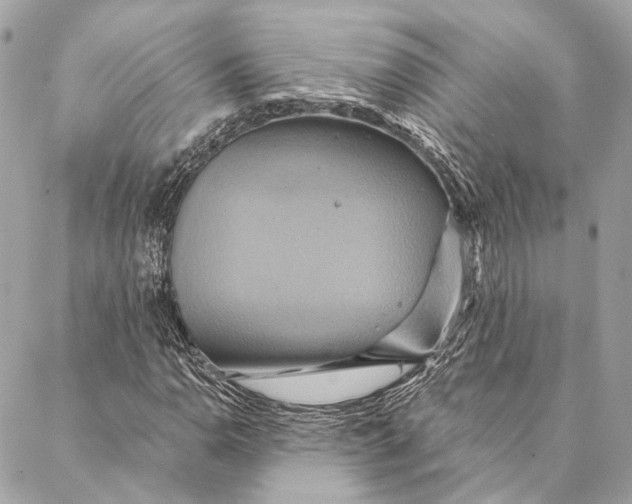 X0000087351110200705111613
