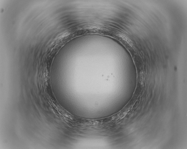 X0000087351111200705111613