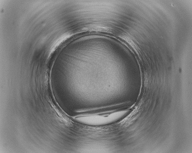 X0000087351115200705111613
