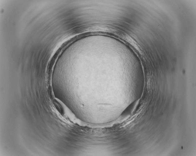 X0000087351116200705111613