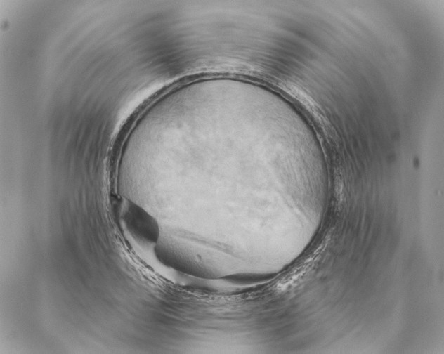 X0000087351120200705111613