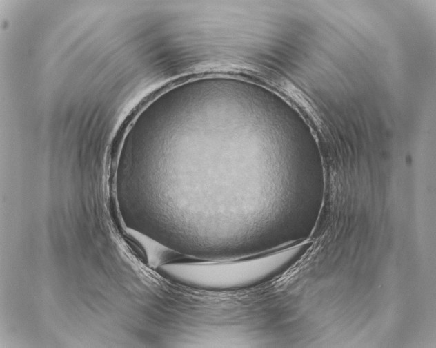 X0000087351124200705111613